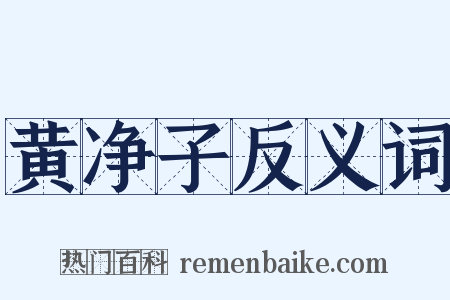 黄净子反义词是什么意思的图片